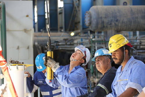 技術(shù)服務(wù)揚帆出海 蘭州石化叩開非洲市場大門
